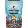 silly farms mushroom gummies 4g