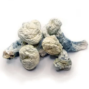 Mushroom Strains